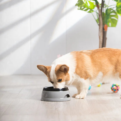 Pet Dog Bowls Floating Not Wetting Mouth Cat Bowl