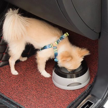 Pet Dog Bowls Floating Not Wetting Mouth Cat Bowl