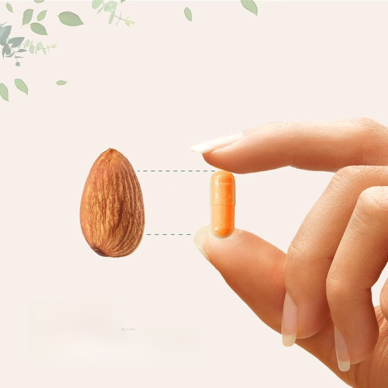 Turmeric Curcumin Soft Capsules